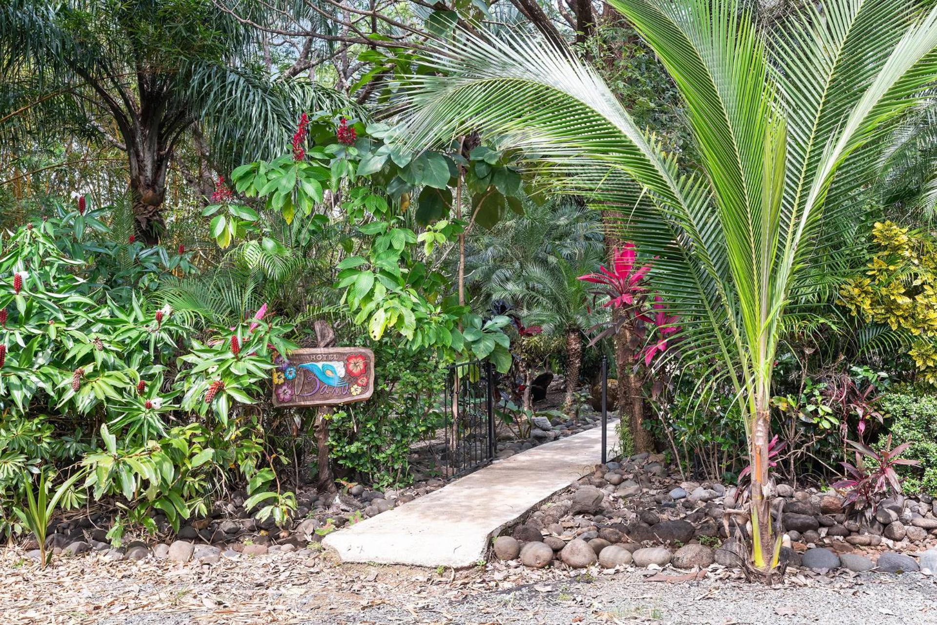 Balu Retreat Center Playa Junquillal